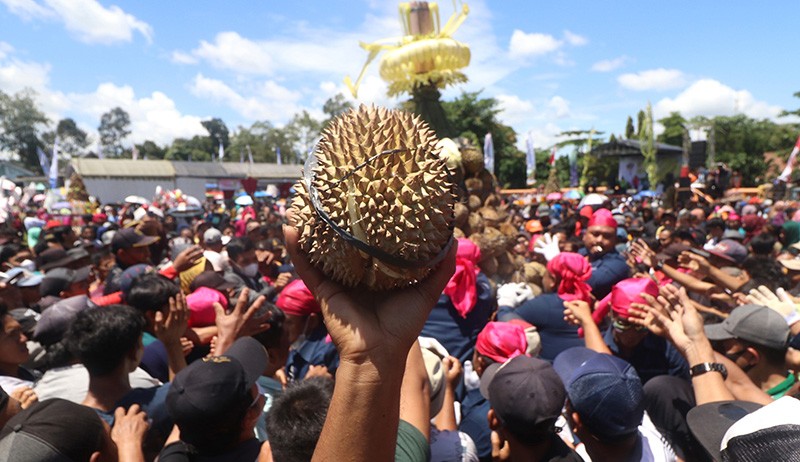 Sedekah Bumi, Ribuan Durian Jadi Rebutan Warga Lereng Gunung Kelud - Bagian 3