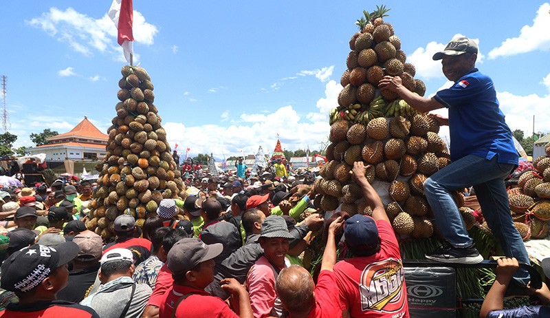 Sedekah Bumi, Ribuan Durian Jadi Rebutan Warga Lereng Gunung Kelud - Bagian 1