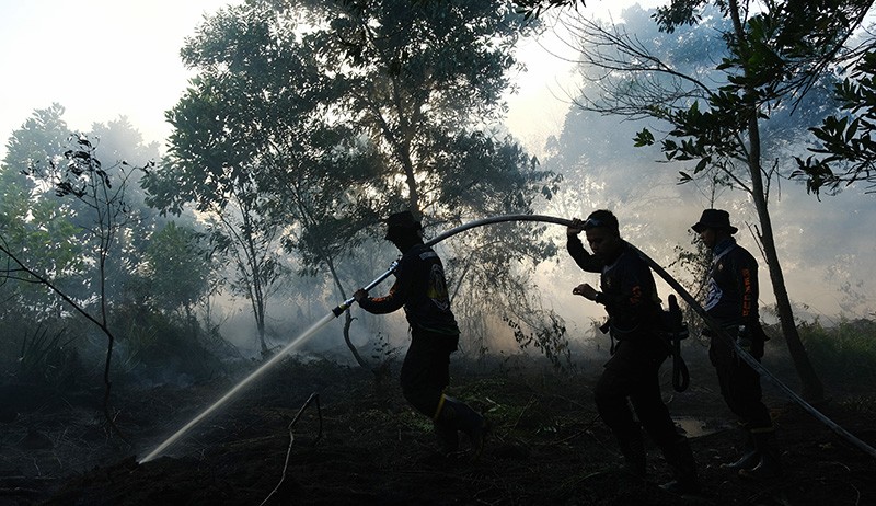 Penyebab Karhutla di Pontianak Masih Diselidiki Kepolisian - Bagian 1