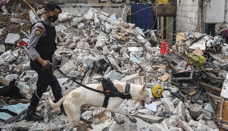 Anjing Pelacak Dikerahkan Cari Korban Kebakaran Depo Pertamina Plumpang - Bagian 1