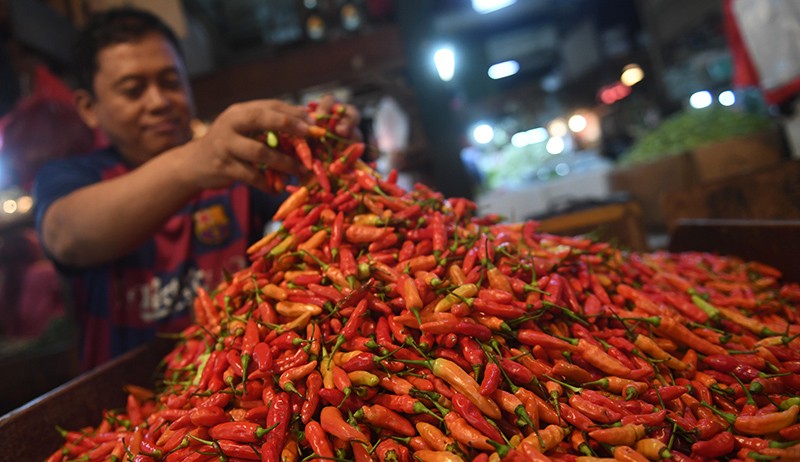 Harga Cabai Rawit Naik Jelang Ramadan Tahun Ini - Bagian 1