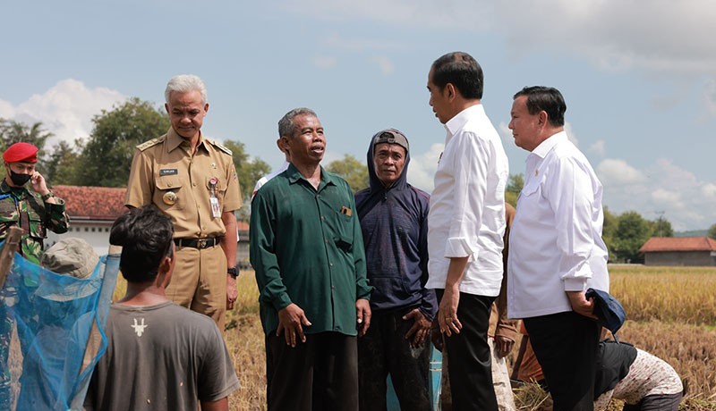 Momen Jokowi, Prabowo dan Ganjar Pranowo Tinjau Panen Raya di Kebumen - Bagian 4