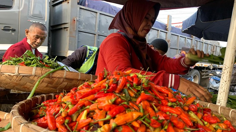 2 Pekan Jelang Ramadan, Harga Cabai Rawit di KBB Tembus Rp90.000 per Kg