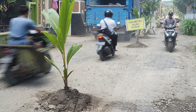 Jalan Rusak Sepanjang 1 Kilometer Ditanami Pohon - Bagian 1