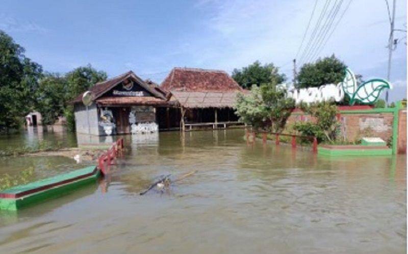 Banjir di Pati Sisakan 1 Desa yang Masih Terdampak, Ini Penampakannya