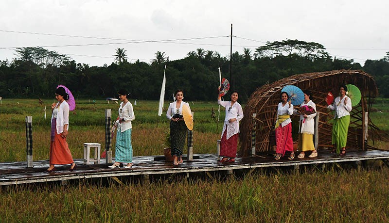 Fashion Show di Tepi Sawah Lestarikan Busana Kebaya dan Tenun Baduy - Bagian 1