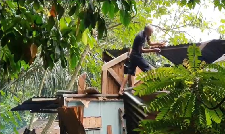 1 Rumah di Samarinda Tertimpa Pohon Tumbang, Tidak Ada Korban Jiwa