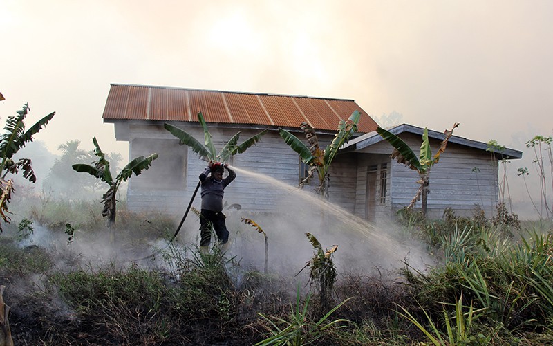 Ratusan Hektare Lahan Terbakar Menjalar ke Permukiman Warga akibat Cuaca Panas - Bagian 1
