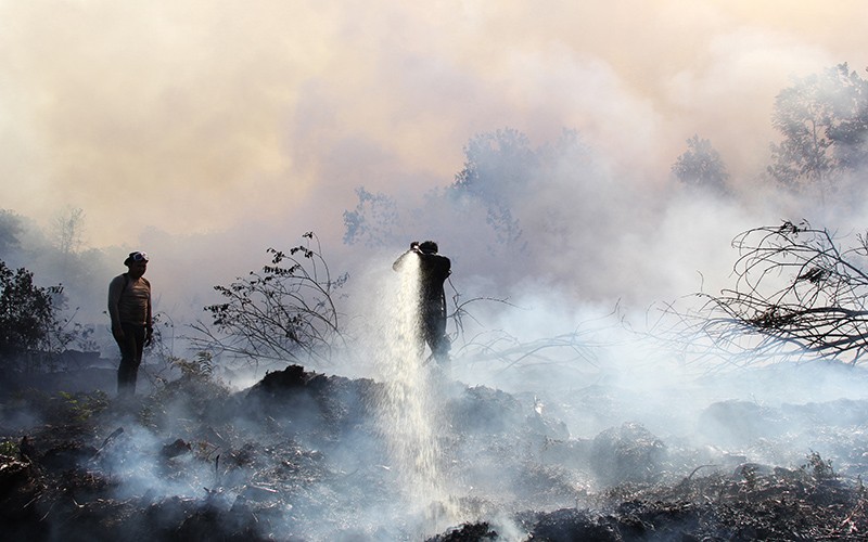 Ratusan Hektare Lahan Terbakar Menjalar ke Permukiman Warga akibat Cuaca Panas - Bagian 2
