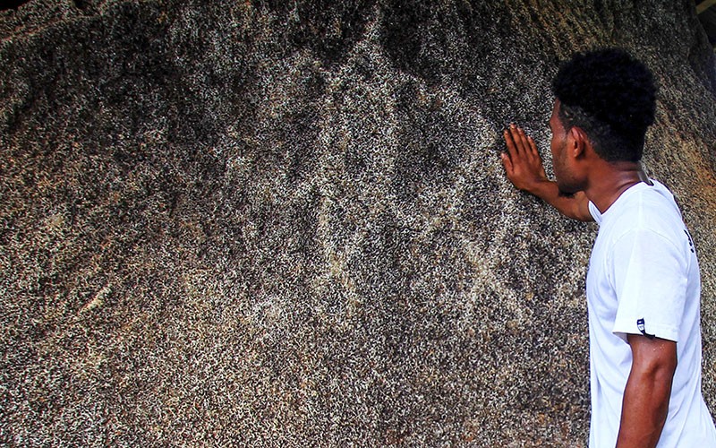 Mengunjungi Situs Megalitik Tutari, Belajar Masa Prasejarah di Papua - Bagian 1
