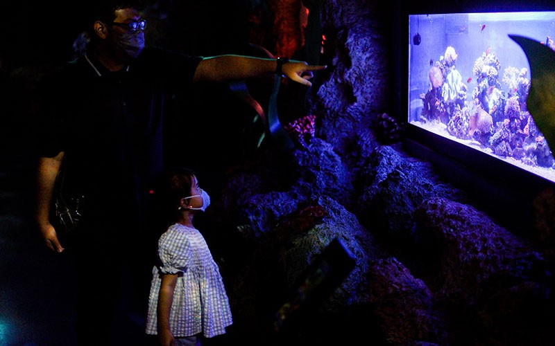 Menikmati Akhir Pekan di Jakarta Aquarium, Segini Harga Tiketnya - Bagian 2
