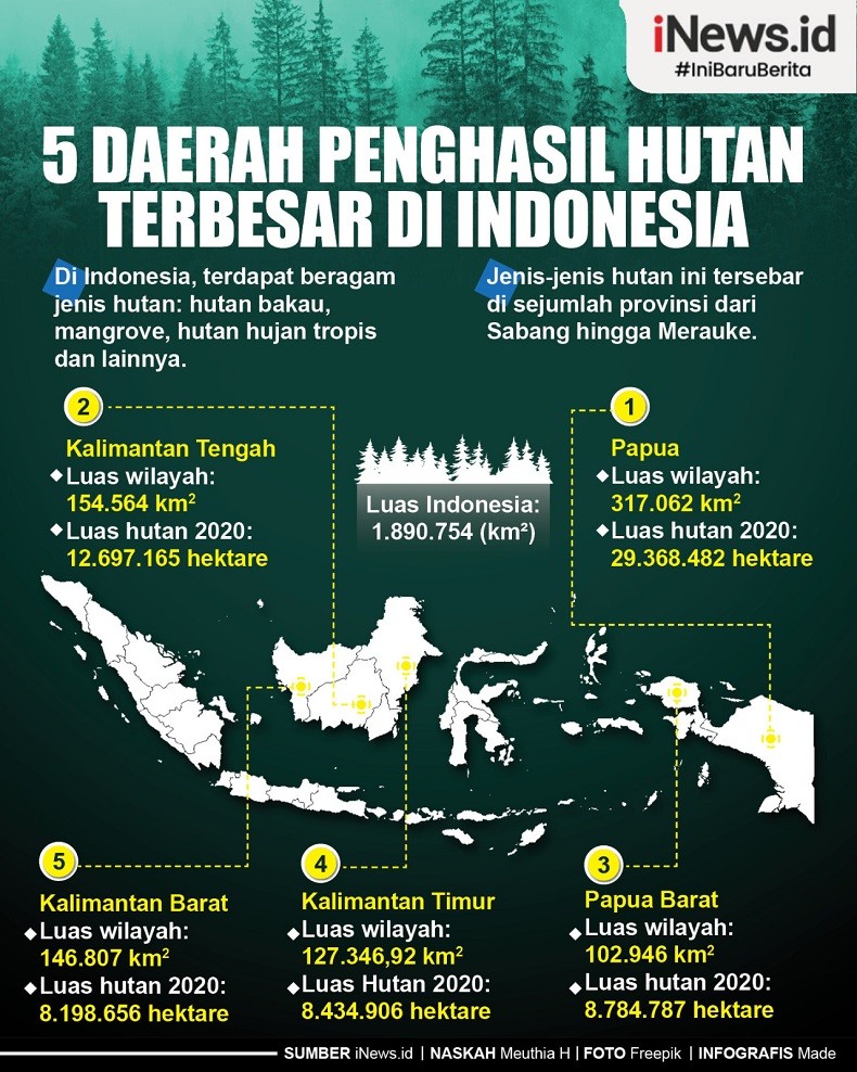 Infografis 5 Daerah Penghasil Hutan Terbesar di Indonesia