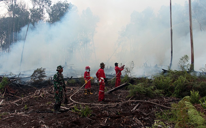 Kebakaran 100 Hektare Hutan Gambut di Sumatera Barat - Bagian 1