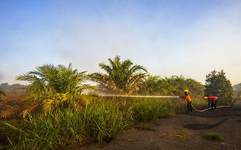 Kebakaran 18 Hektare Lahan di Banjarbaru - Bagian 2