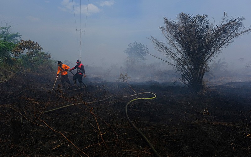 Petugas Gabungan Berjibaku Padamkan Kebakaran Lahan Gambut di Kubu Raya - Bagian 1