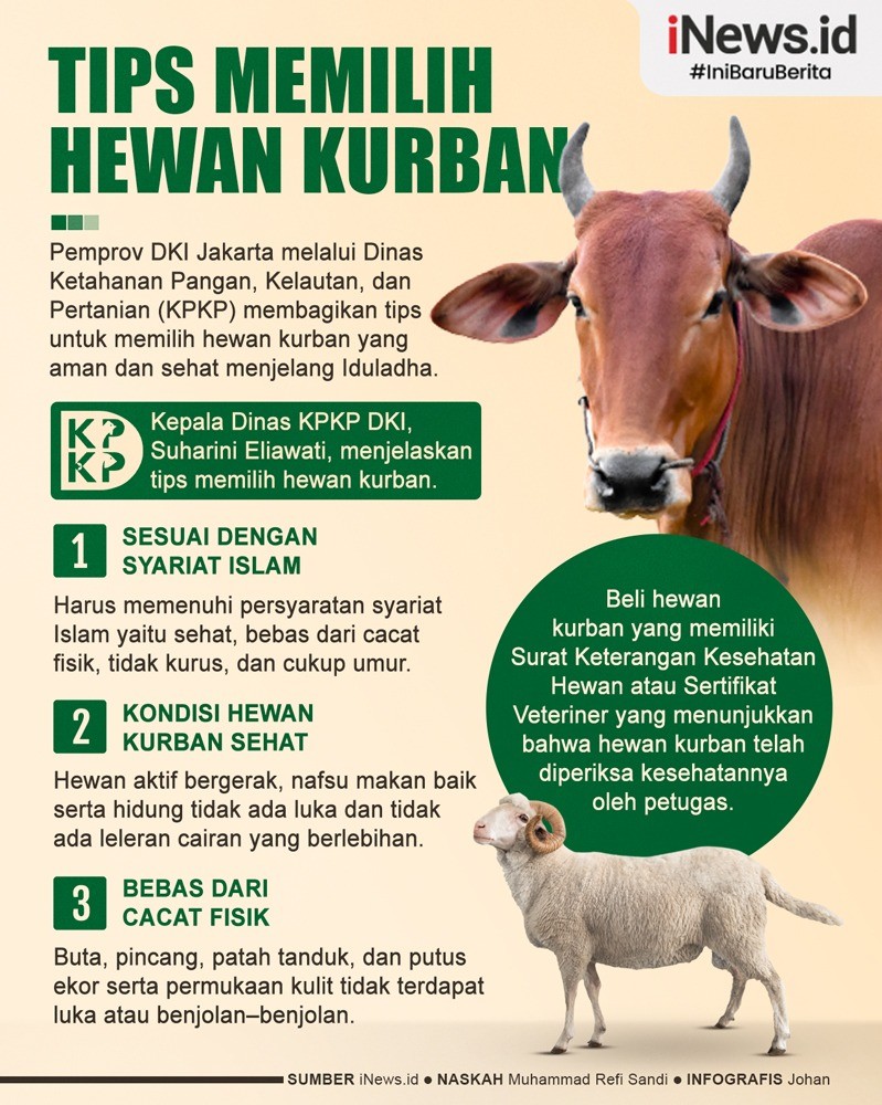 Infografis Tips Memilih Hewan Kurban