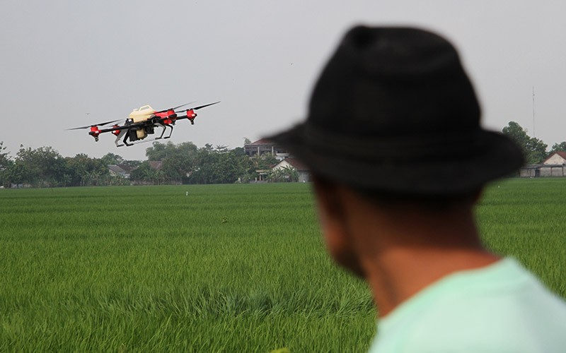 Petani Kerahkan Drone Semprot Cairan Pestisida, Lebih Cepat dan Efektif - Bagian 2