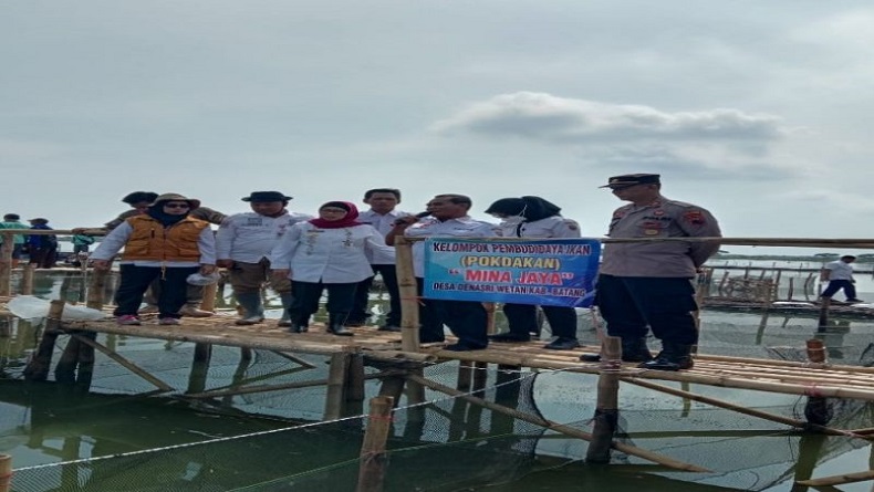 Lahan Tergenang Rob di Batang Dimanfaatkan untuk Budi Daya Ikan Kerapu