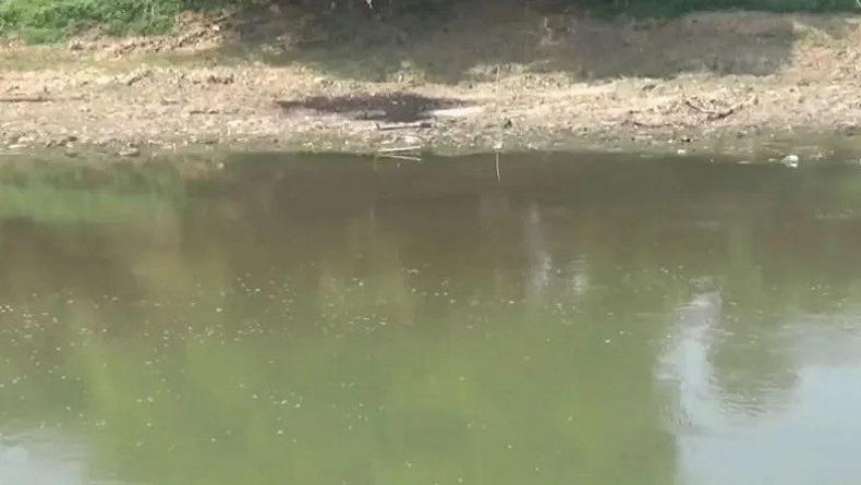 Sungai Bengawan Solo Tercemar Limbah, PDAM Sempat Hentikan Pengolahan Air