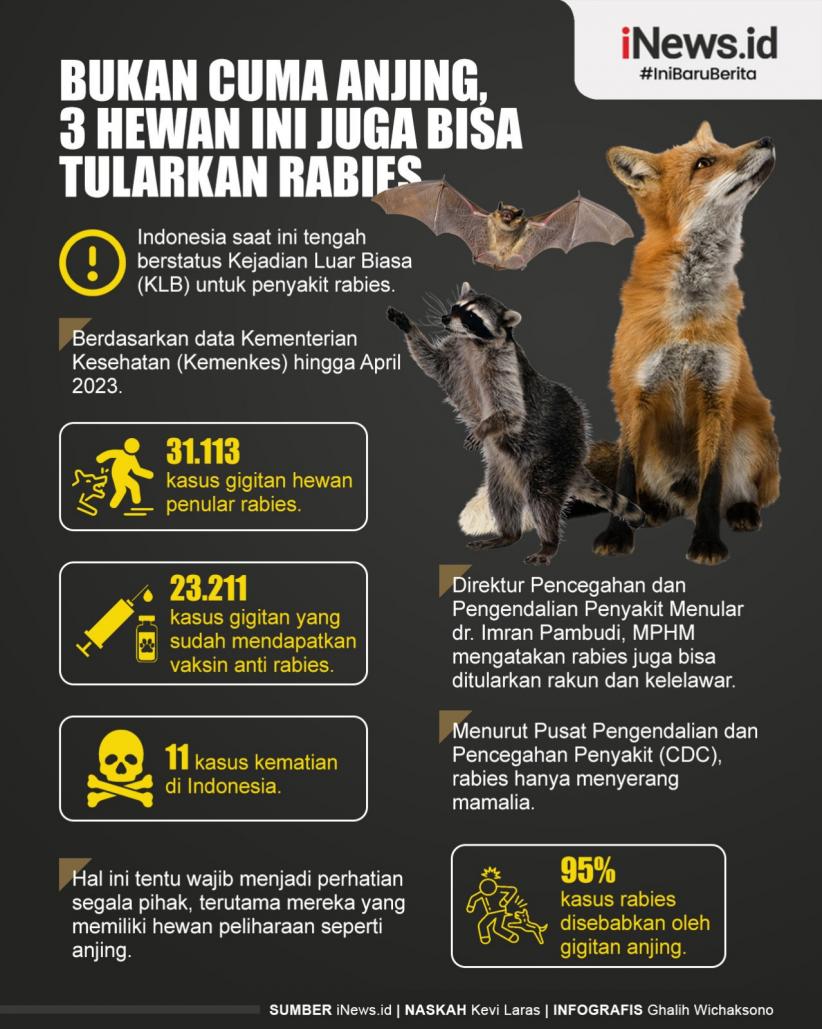 Infografis Bukan Hanya Anjing, Ini Hewan yang Bisa Tularkan Rabies
