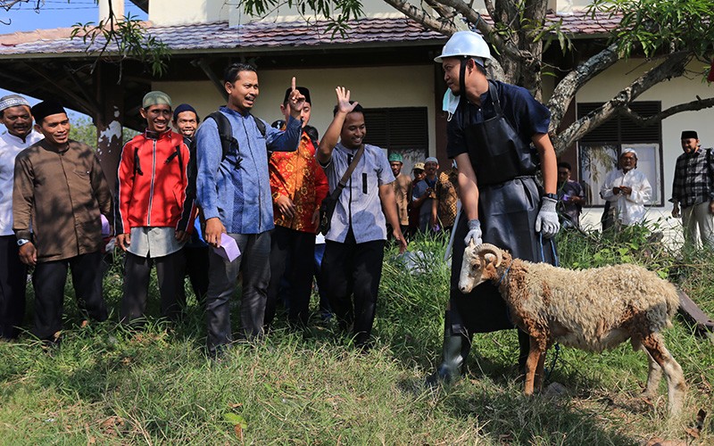 Latihan Menyembelih Hewan Kurban - Bagian 2