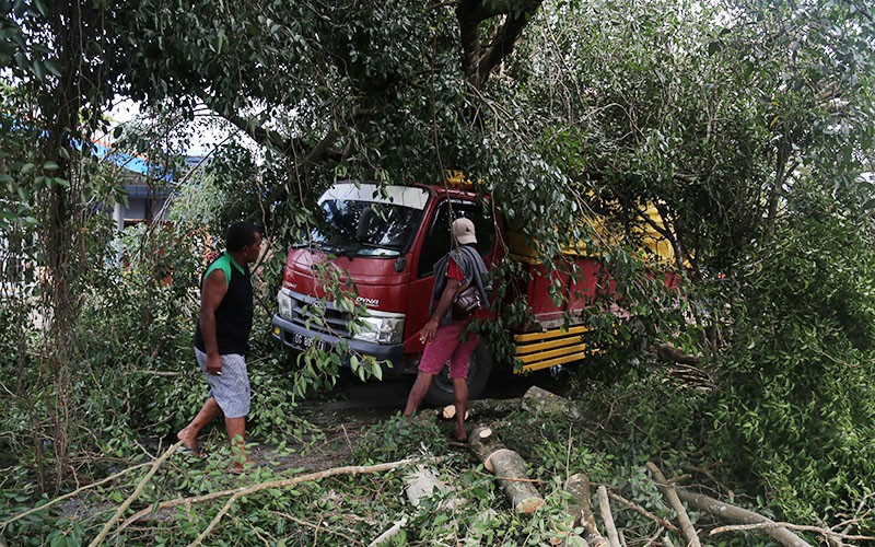 Pohon Beringin Tumbang Timpa Truk di Kota Ternate - Bagian 1