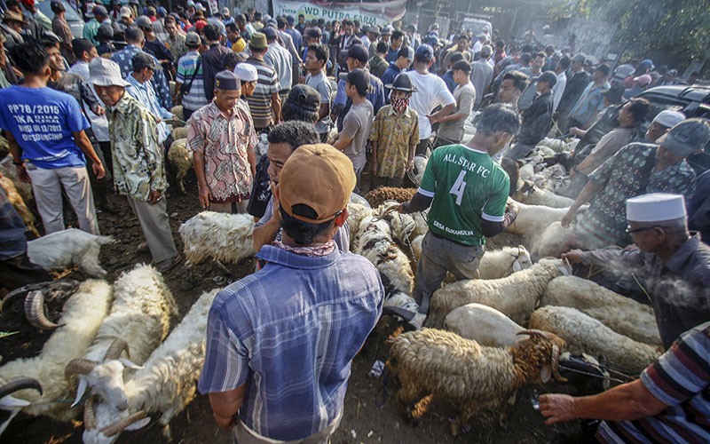 Penampakan dari Udara Pasar Hewan Kurban Jonggol, Jelang Idul Adha Jual 900 Sapi - Bagian 3