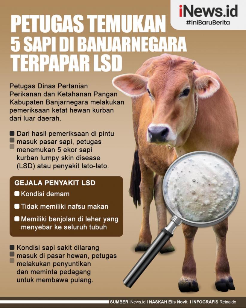Infografis Petugas Temukan 5 Sapi di Banjarnegara Terpapar LSD