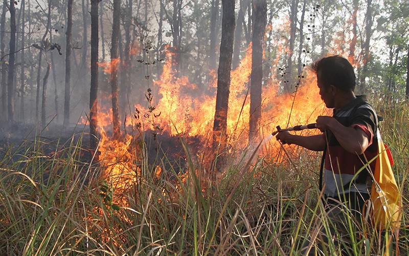 Kebakaran 2 Hektare Hutan Jati di Ngawi - Bagian 1