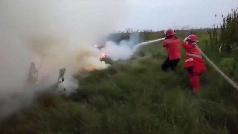 Karhutla di Sekitar Tol Kayu Agung-Palembang, Lahan Terbakar Capai 5 Hektare