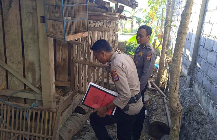 Marak Pencurian Hewan Ternak di Bantul, 2 Bulan Ada 4 Kasus