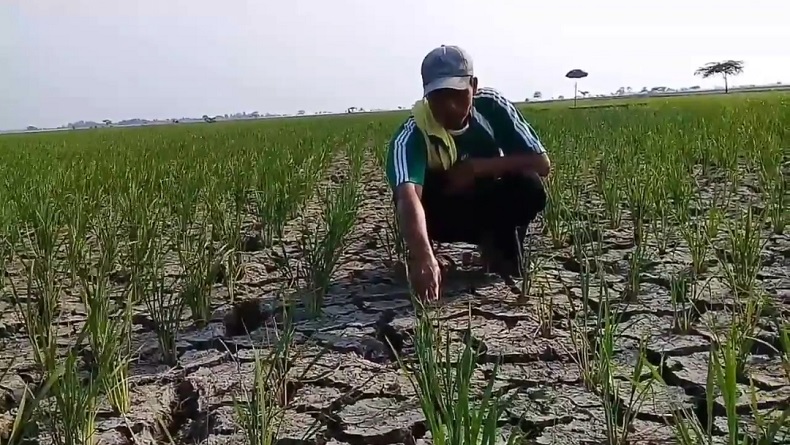 Agustus Puncak Musim Kemarau, Warga Diminta Waspada Kekeringan di Bandung Raya