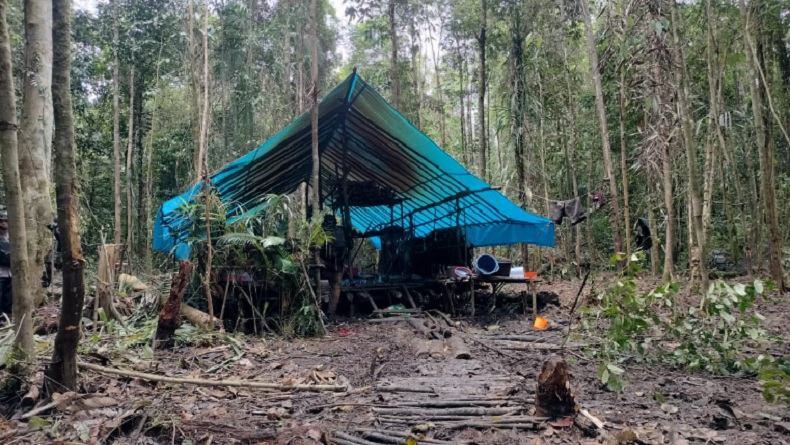Kontak Tembak Pecah di Yahukimo, 2 Anggota KKB Tewas 1  Brimob Terluka