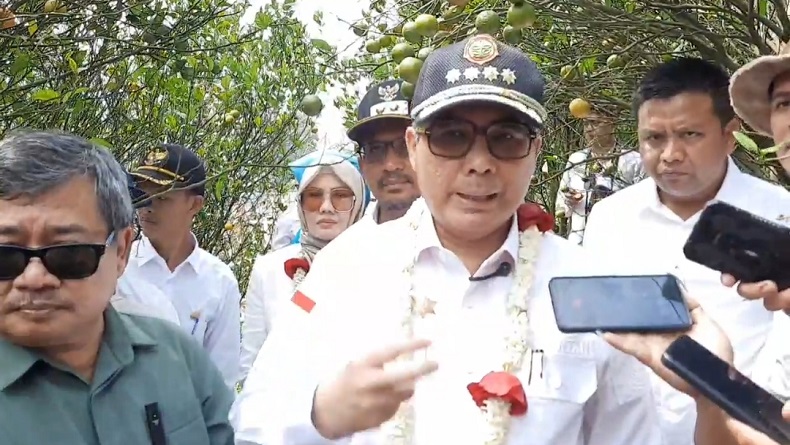 Harga Beras Melambung, Wamentan Sebut Masih Sangat Rendah Dibanding Jepang