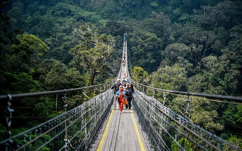 Ini Jembatan Gantung Terpanjang se-Asia Tenggara, Ada di Rancabali Bandung - Bagian 1