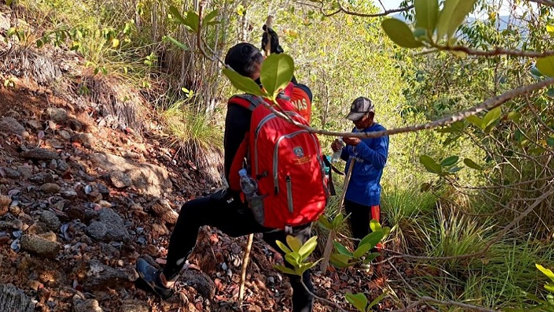 Nelayan di Kolaka Hilang 4 Hari di Hutan Pulau Padamarang, Pencarian Masih Nihil