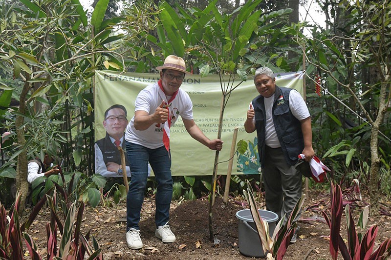 83 Juta Bibit Pohon Tertanam dan 81 Ribu Ha Lahan Kritis Pulih di Jabar - Bagian 1