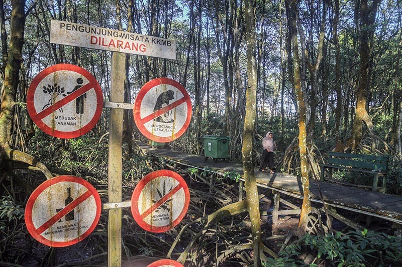 Wisata Konservasi Mangrove dan Bekantan di Tarakan - Bagian 3