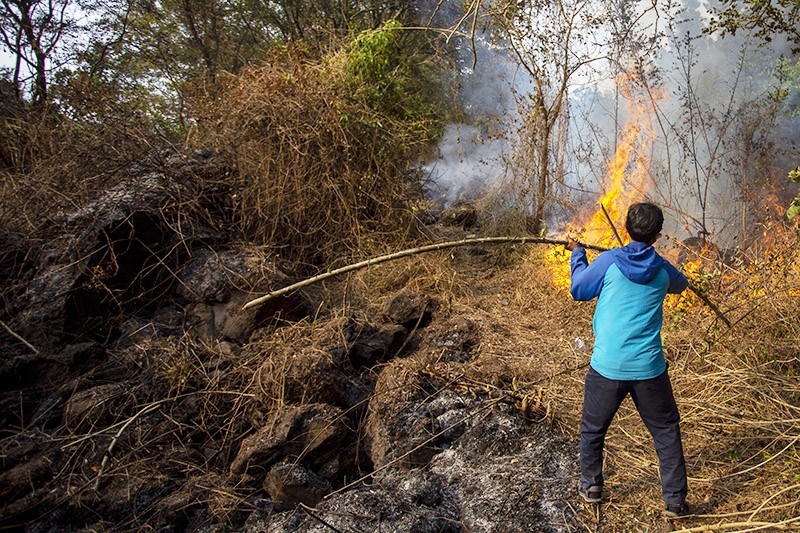 Kebakaran Hutan Gunung Ciremai Meluas, 125 Hektare Lahan Hangus - Bagian 1
