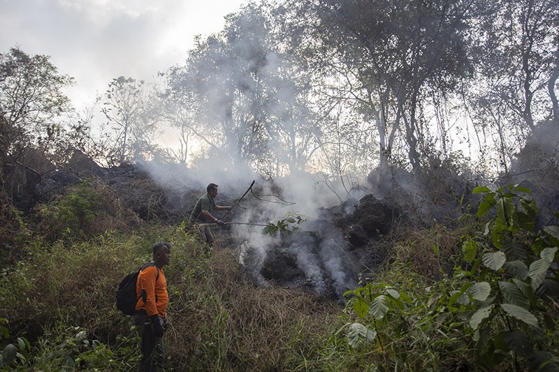 Kebakaran Hutan Gunung Ciremai Meluas, 125 Hektare Lahan Hangus - Bagian 2
