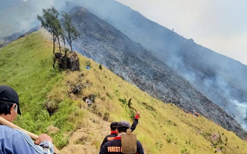 Hutan di Gunung Arjuno Terbakar, Pendakian Ditutup untuk Mudahkan Pemadaman