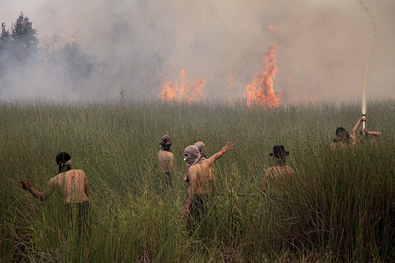 Petugas Gabungan Berjibaku Padamkan Kebakaran Hutan dan Lahan di Palangka Raya - Bagian 1