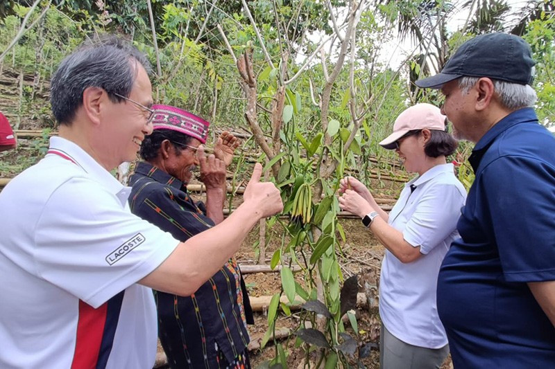 Pengembangan UMKM Pertanian Komoditas Mete, Vanili dan Kepiting di Manggarai Barat NTT - Bagian 1