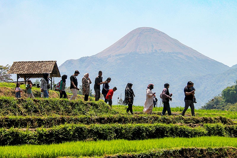 Terbaik, Desa Wisata Ketapanrame Dikujungi 1.000 Wisatawan saat Akhir Pekan - Bagian 2