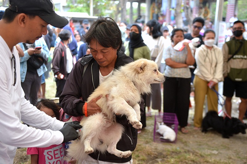 Cegah Rabies, Ratusan Hewan Peliharaan Ikuti Sterilisasi dan Vaksinasi Gratis - Bagian 3