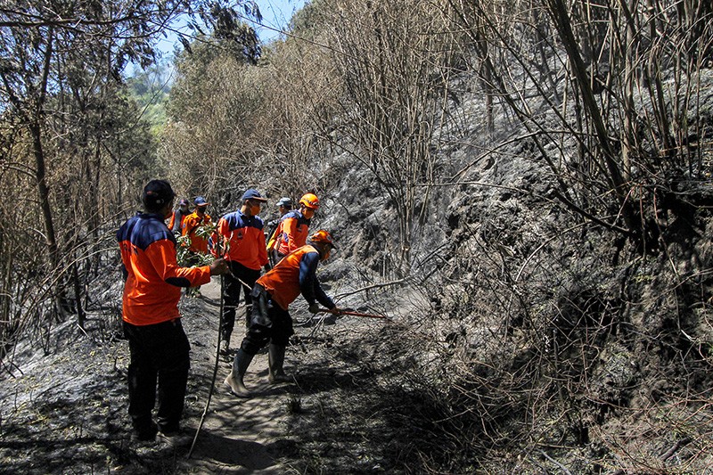 Melihat Upaya Pemadaman Kebakaran Gunung Bromo  - Bagian 1