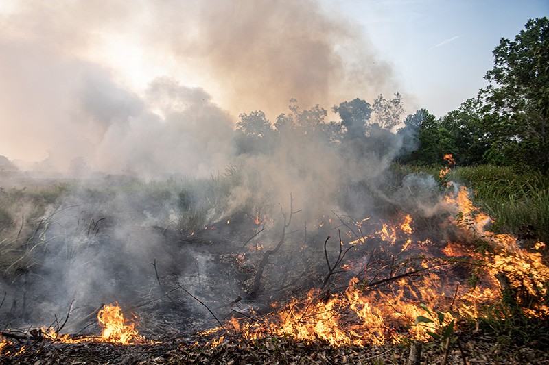 Kebakaran 4.000 Hektare Lahan di Sumatera Selatan  - Bagian 1
