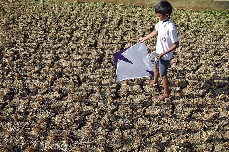 27.000 Hektare Lahan Pertanian di Indonesia Kekeringan - Bagian 1