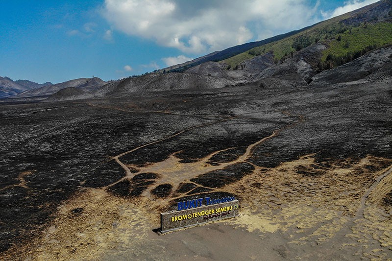 Dulu Hijau, Bukit Teletubbies Gunung Bromo Kini Hangus Dilalap Api - Bagian 1