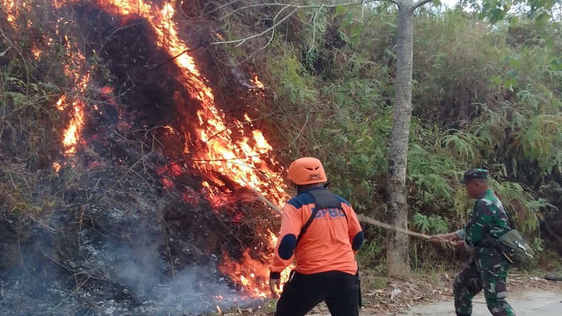 Dampak Kemarau Panjang, Sukabumi Diterjang 15 Kali Karhutla